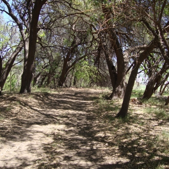 TweedyRanch (16)